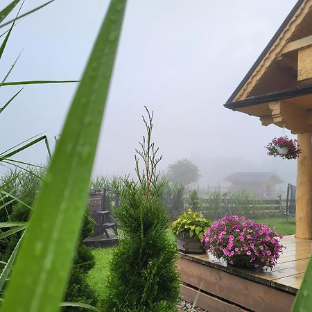 Sudecki Dym Z Kominkiem Kolo Karpacza. Agroturystyka Janowice Wielkie Exterior foto